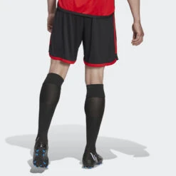 ADIDAS België 22 Thuisshort -Draag Straal belgie 22 thuisshort 2