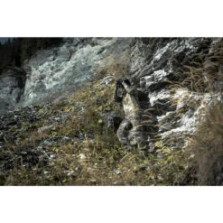 Geluidloos En Ademend Camouflageshirt Voor De Jacht 500 Lange Mouwen Bos -Draag Straal geluidloos en ademend jachtshirt 500 lange mouwen camouflage treemetic 2