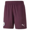 Manchester City FC Keeper 22/23 Replica Shorts Heren PUMA -Draag Straal manchester city fc keeper 2223 replica shorts heren puma