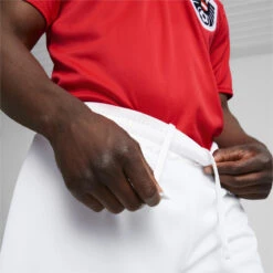 Oostenrijk Thuis 22/23 Replica Shorts Heren PUMA 12 Oostenrijk Thuis 22/23 Replica Shorts Heren PUMA -Draag Straal oostenrijk thuis 2223 replica shorts heren puma 4