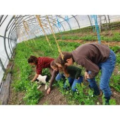 OVERHEMD 100 -Draag Straal overhemd 100 rood 12